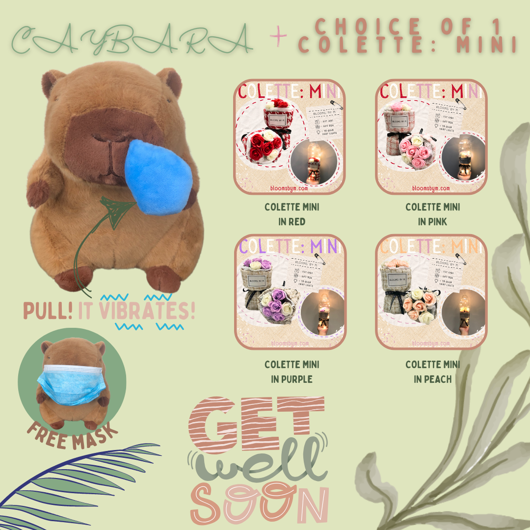 Get Well Soon Capybara+Soap Flower Rose Bouquet Box-Colette Mini Bundle