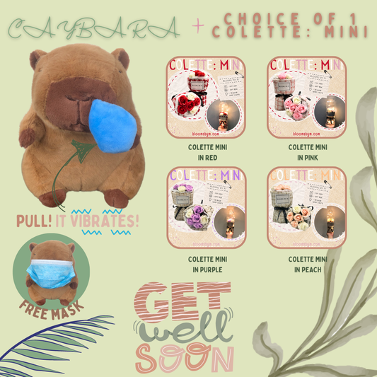 Get Well Soon Capybara+Soap Flower Rose Bouquet Box-Colette Mini Bundle