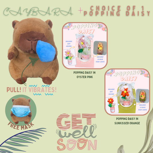 Get Well Soon Capybara + Fabric Flower Popping Daisy Bundle