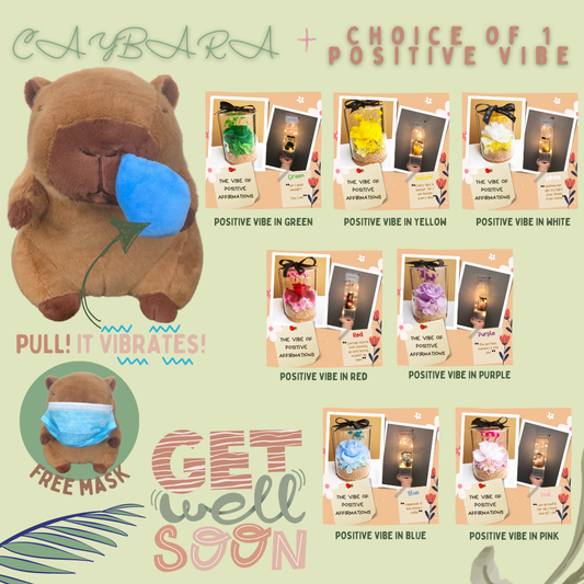 Get Well Soon Capybara + Preserved Rose Positive Vibe Bundle