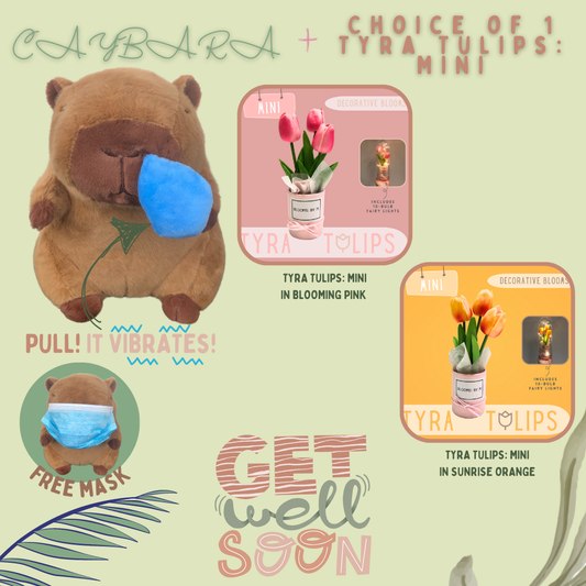Get Well Soon Capybara+Faux Tulips Flower Box-Tyra Tulips Mini Bundle