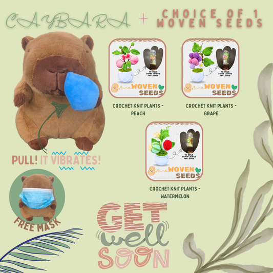 Get Well Soon Capybara + Crochet Knit Plants Woven Seeds Bundle