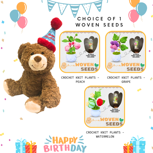 Soft Toy Plushie-Birthday Teddy + Crochet Knit Plants Woven Seeds Bundle
