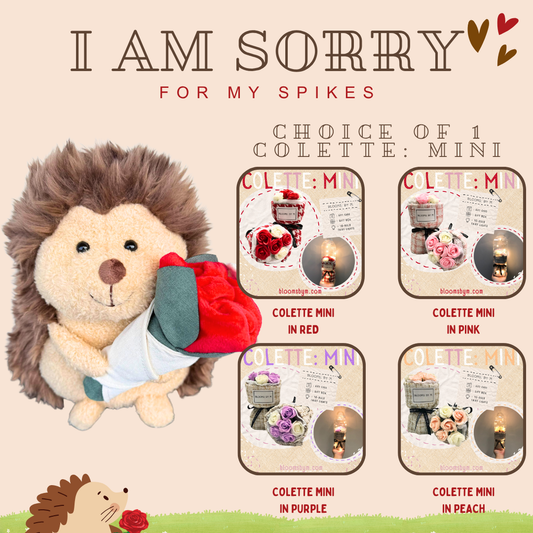 I am Sorry: Hedgehog+Soap Flower Rose Bouquet Box-Colette Mini Bundle
