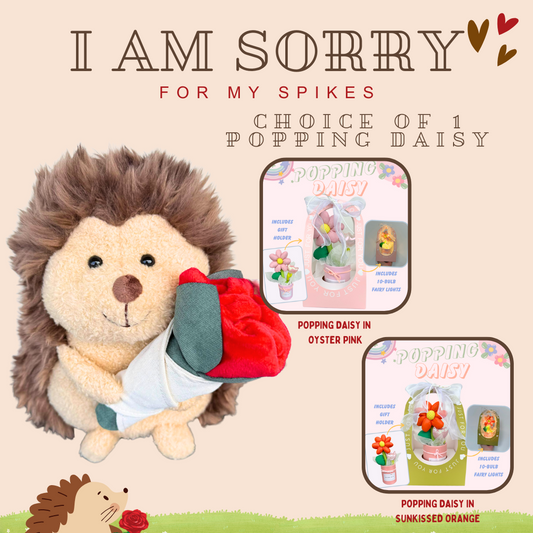 I am Sorry: Hedgehog + Fabric Flower Popping Daisy Bundle