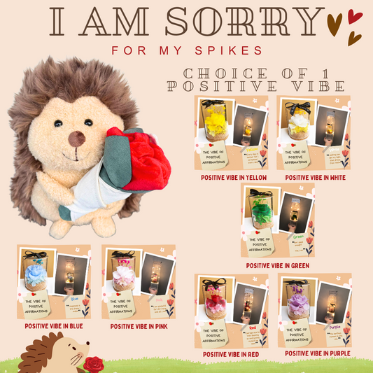 I am Sorry: Hedgehog + Preserved Rose Positive Vibe Bundle