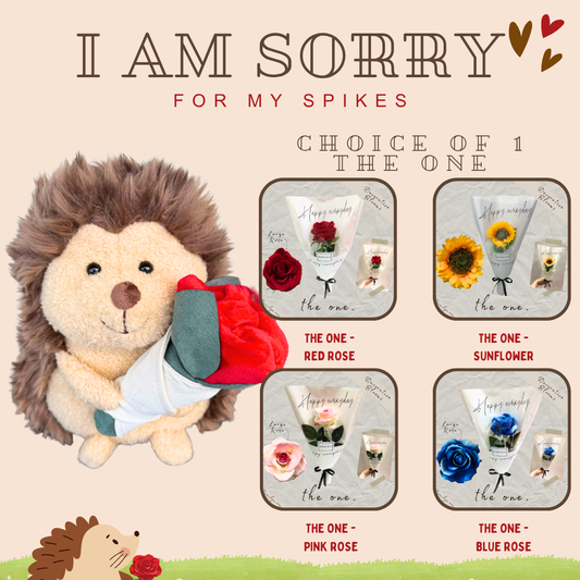 I am Sorry: Hedgehog + Faux Bouquet - The One Bundle