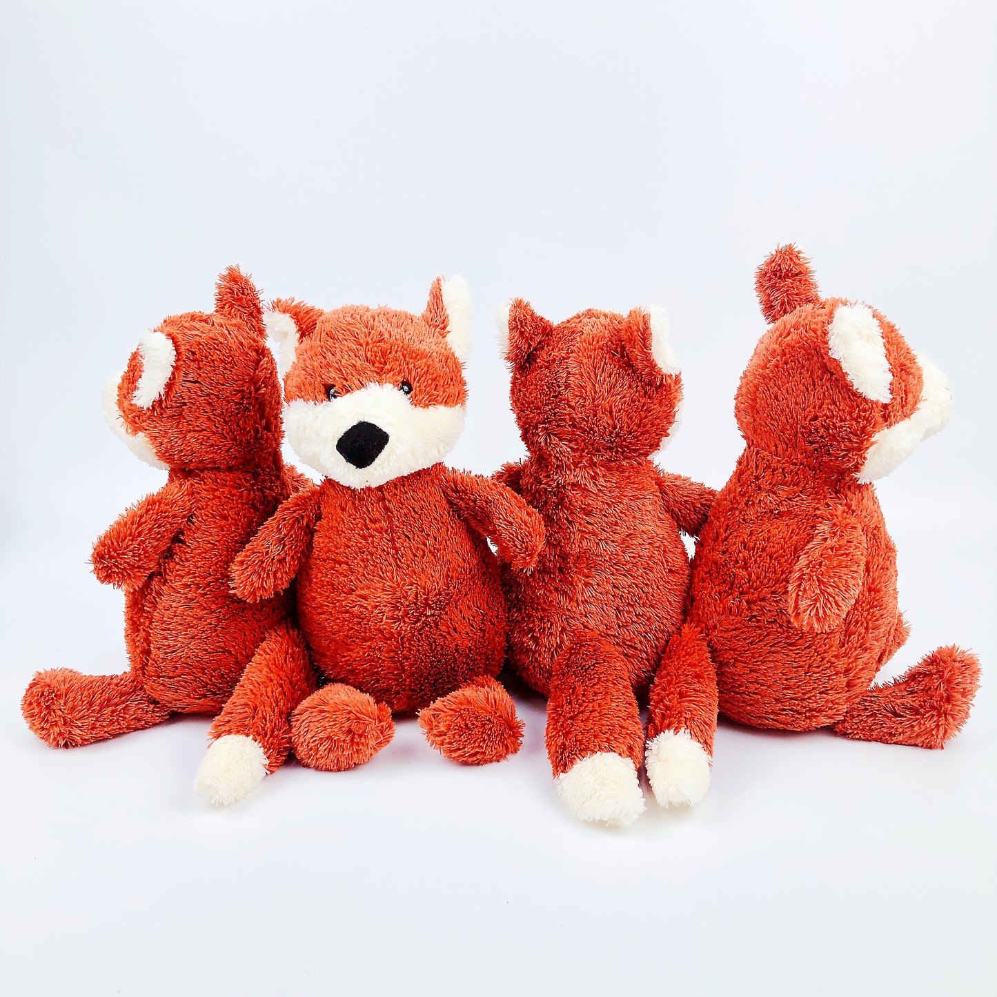Hunter the Fox