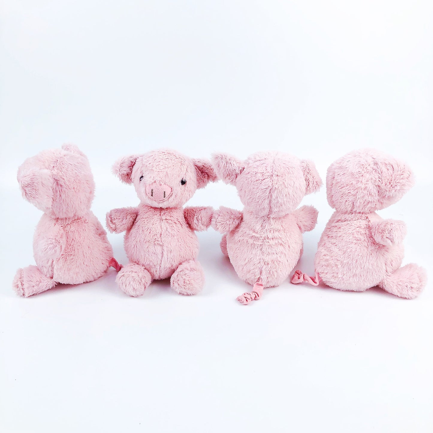 Oinkers the Pig