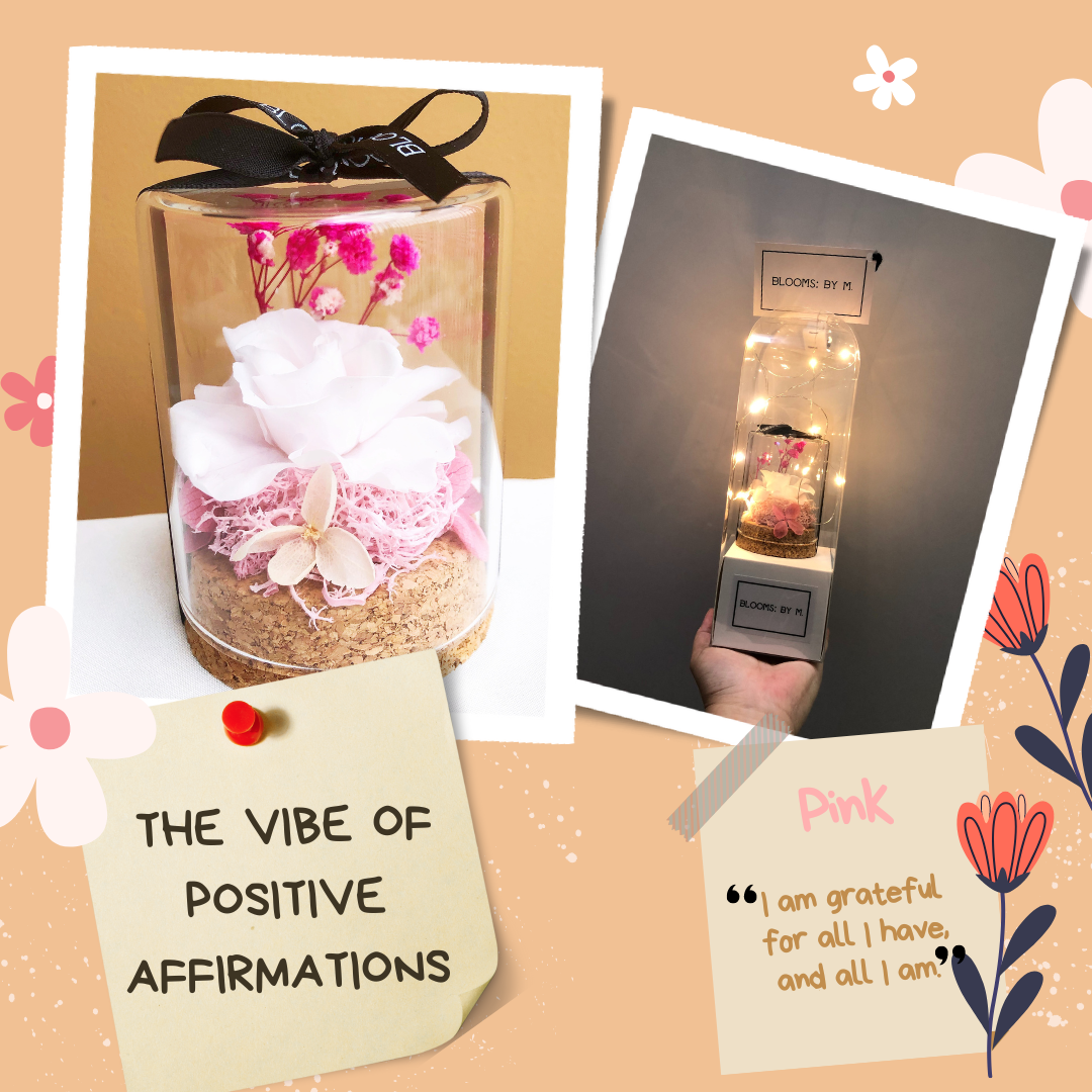 Vibe of Positive Affirmations in Pink (Mini)