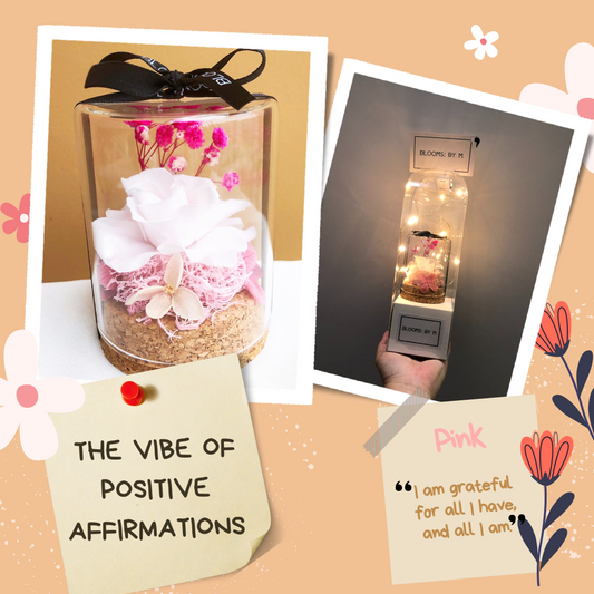 Vibe of Positive Affirmations in Pink (Mini)