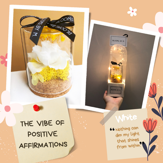 Vibe of Positive Affirmations in White (Mini)