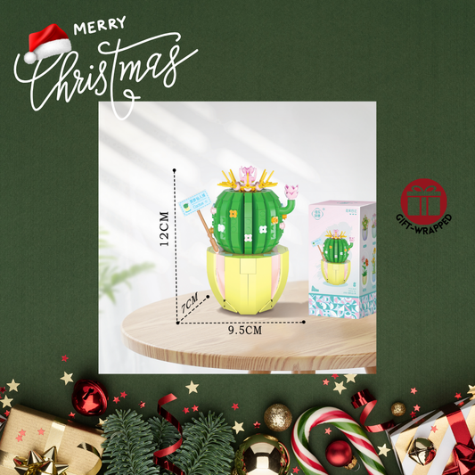 Christmas - Mini Blooming Pot - Cactus (444 pieces)