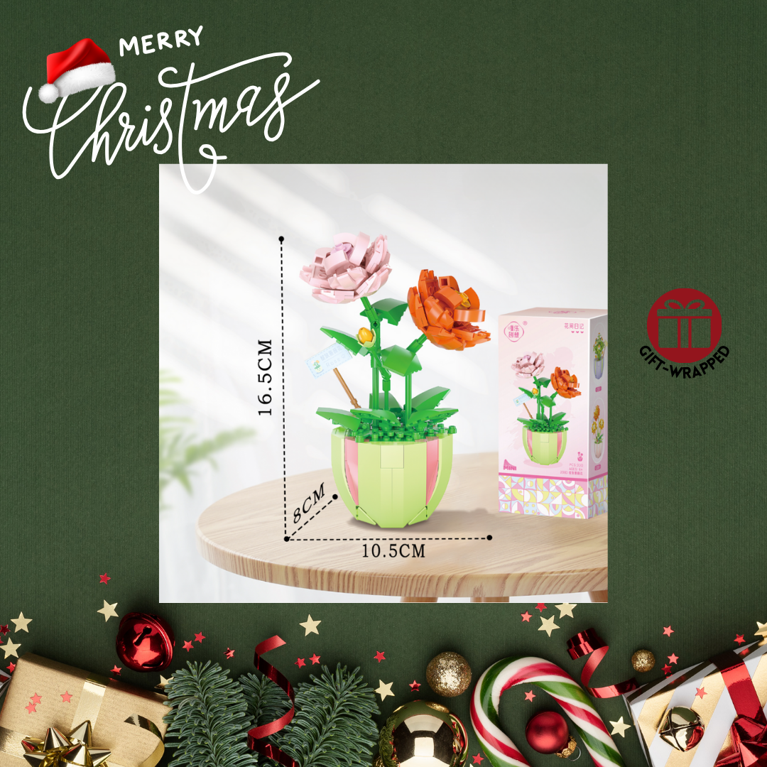 Christmas - Mini Blooming Pot - Morning Glory (330 pieces)