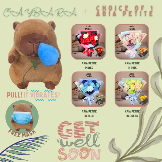 Get Well Soon Capybara + Soap Flower Rose Bouquet Aria Petite Bundle