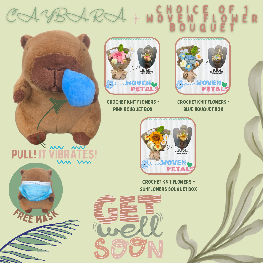 Get Well Soon Capybara + Crochet Woven Bouquet Box Bundle
