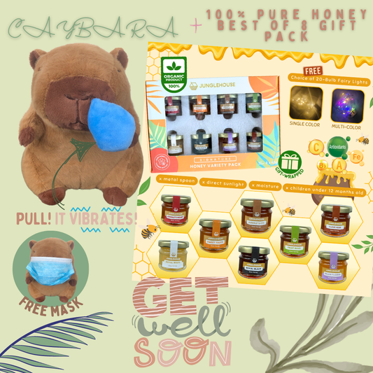 Get Well Soon Capybara + 100% Pure Honey: Best of 8 Gift Pack Bundle