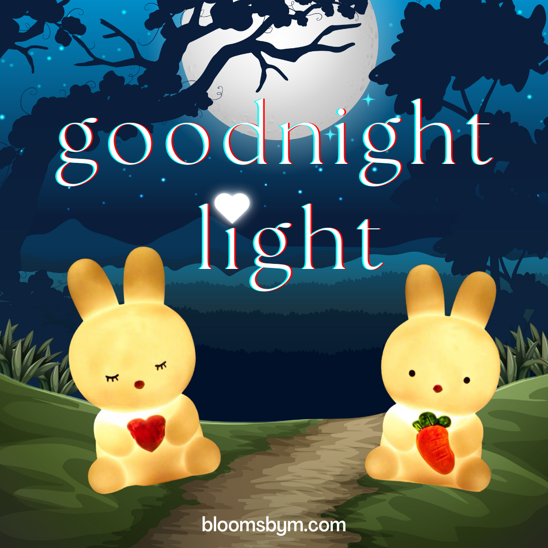 Goodnight Light - Mister Carrot
