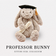 Professor Bunny - Graduation Soft Toy Plushie