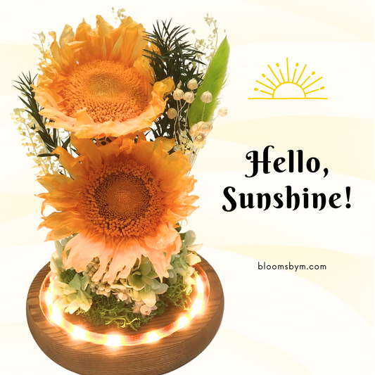 Hello, Sunshine!