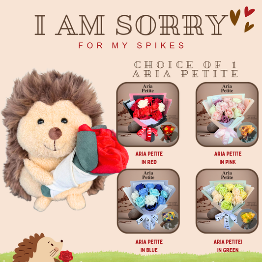 I am Sorry: Hedgehog + Soap Flower Rose Bouquet Aria Petite Bundle