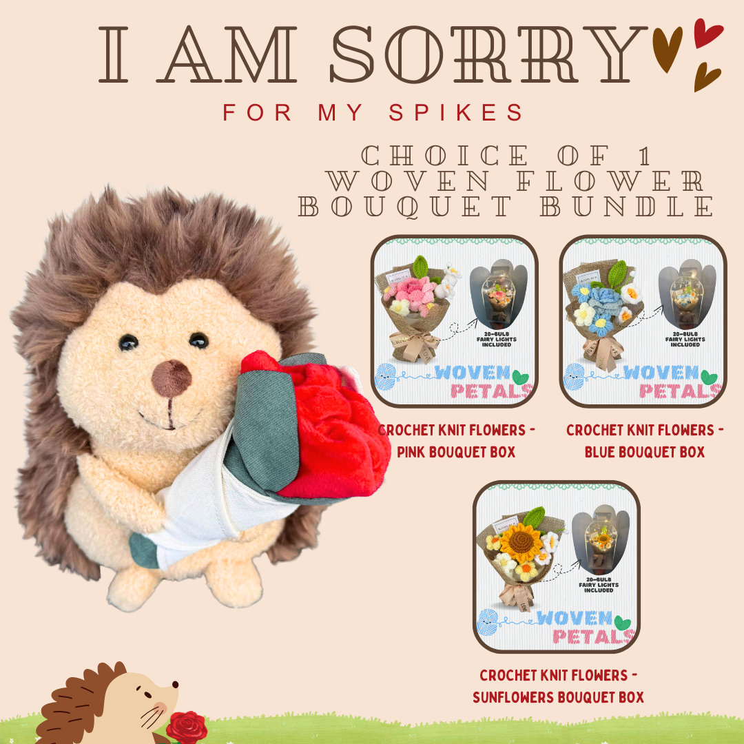 I am Sorry: Hedgehog + Crochet Woven Bouquet Box Bundle