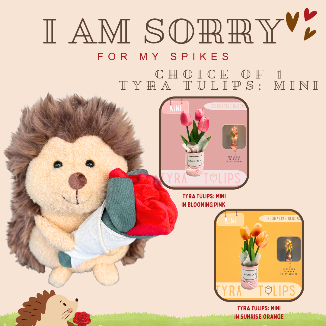 I am Sorry: Hedgehog+Faux Tulips Flower Box-Tyra Tulips Mini Bundle