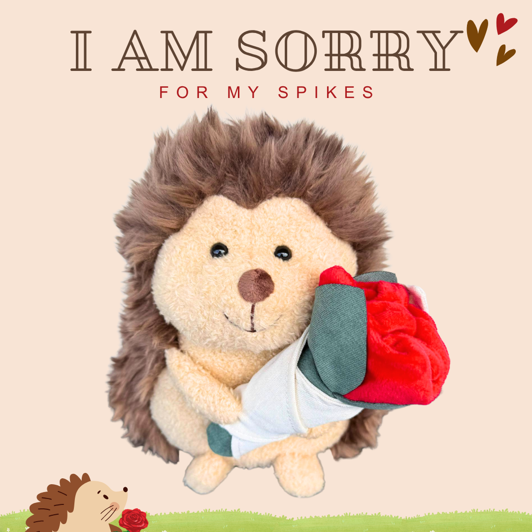 Soft Toy Plushie - I am Sorry: Hedgehog