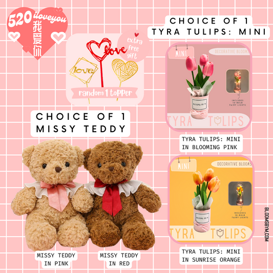 52❤️ - I Love You - Missy Teddy Bundle - Missy Teddy + Faux Tulips Flower Box - Tyra Tulips Mini