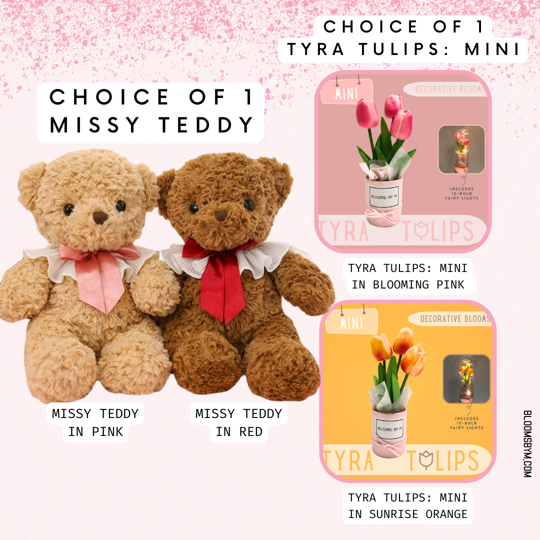 Missy Teddy Bundle - Missy Teddy + Faux Tulips Flower Box - Tyra Tulips Mini