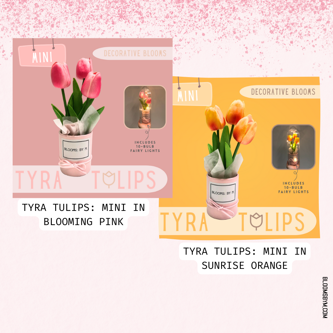 Missy Teddy Bundle - Missy Teddy + Faux Tulips Flower Box - Tyra Tulips Mini