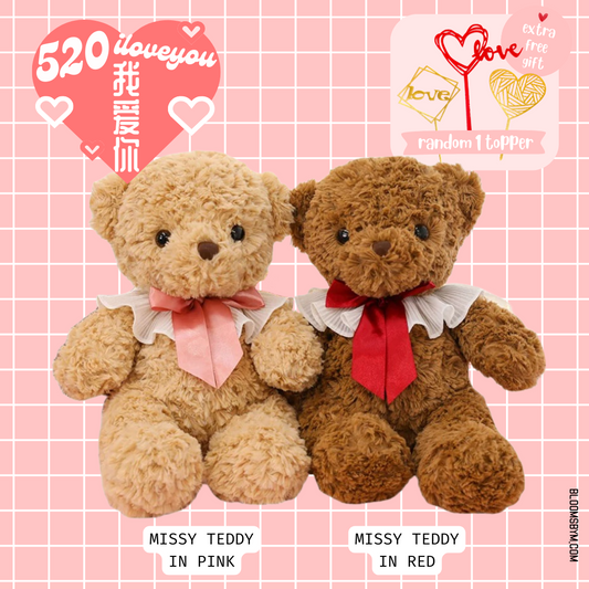 52❤️ - I Love You - Missy Teddy