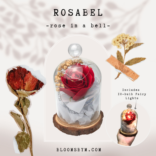 Rosabel - Rose in a Bell