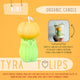 Tyra Tulips Yellow Mini Organic Candle - Chamomile