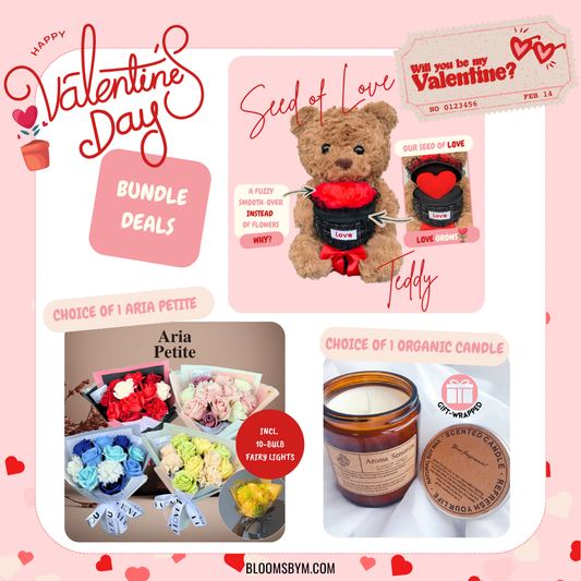 VDay Bundle - Seed of Love Teddy + Aria Petite Soap Flower + Candle
