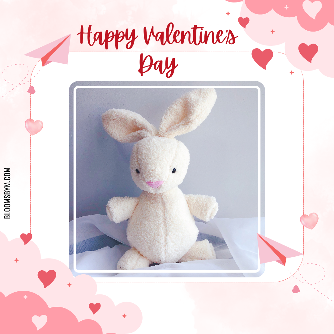 Valentine's Day - Bun Bun the Rabbit