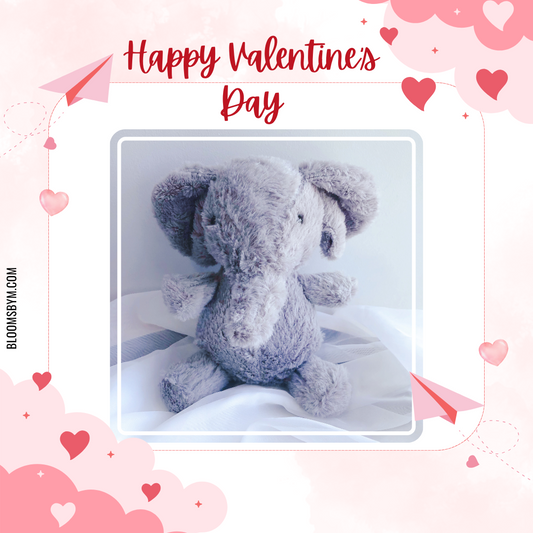 Valentine's Day - Ellie the Elephant