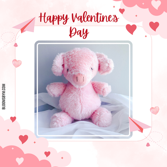 Valentine's Day - Oinkers the Pig