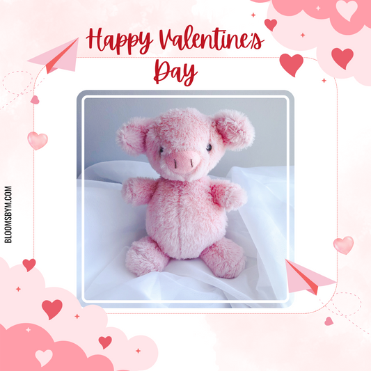 Valentine's Day - Oinkers the Pig (Petite)