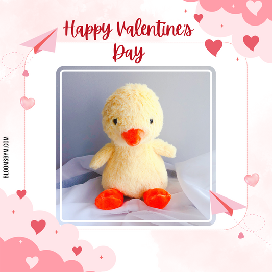 Valentine's Day - Waddles the Duck