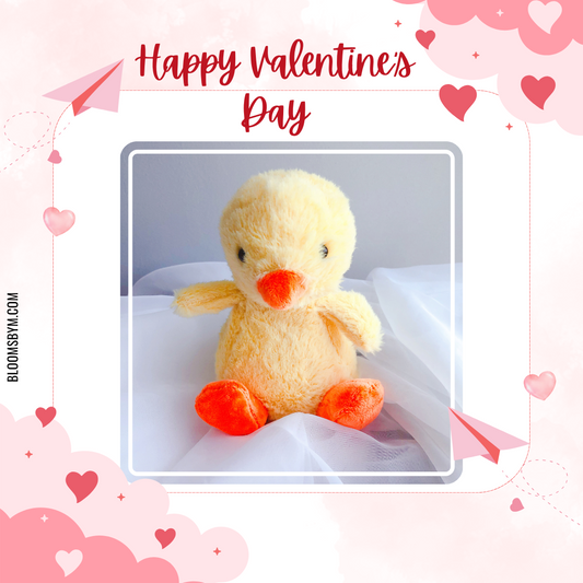 Valentine's Day - Waddles the Duck (Petite)