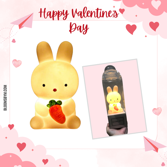 Valentine's Day - Goodnight Light - Mister Carrot