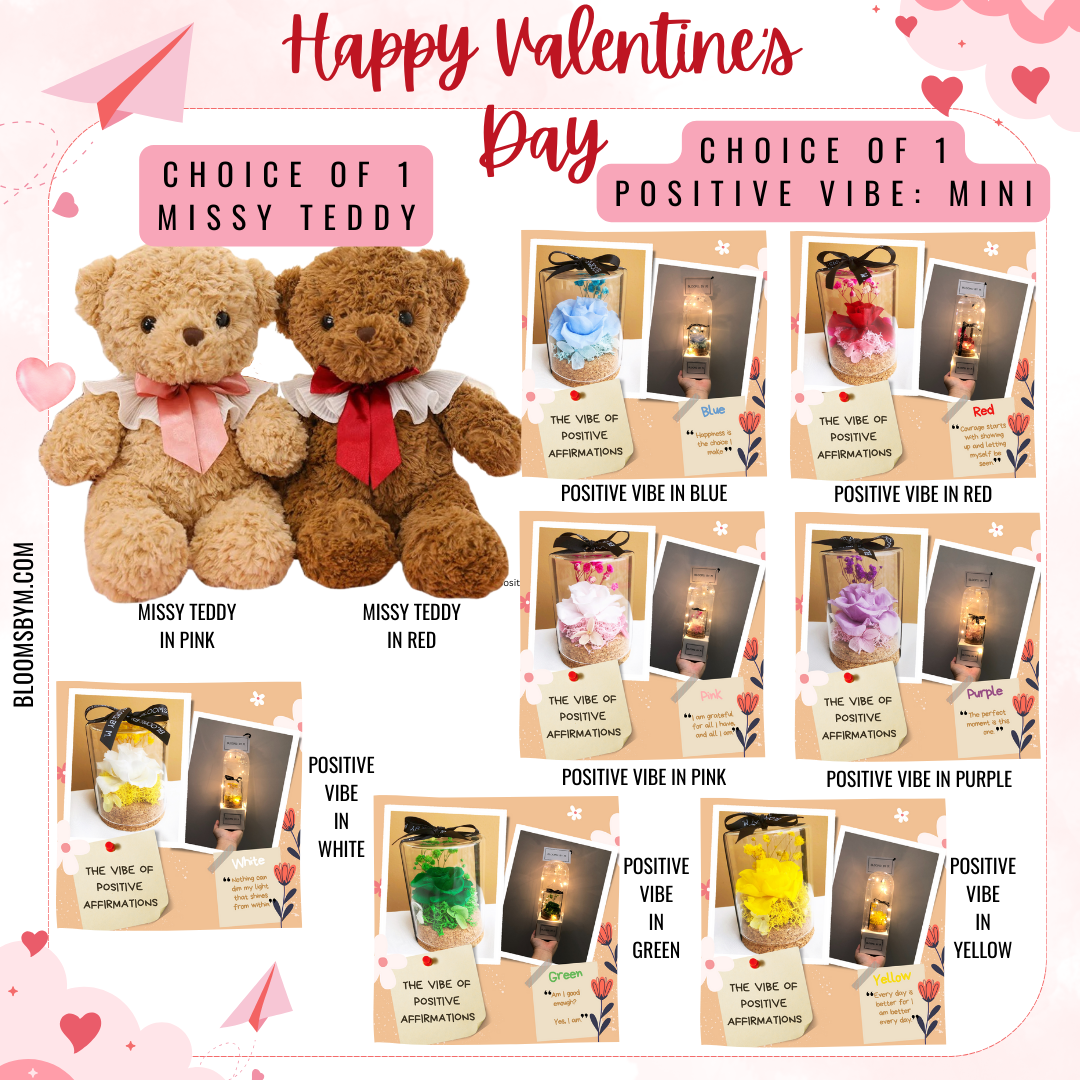 Valentine's Day - Missy Teddy + Preserved Rose Positive Vibe Bundle