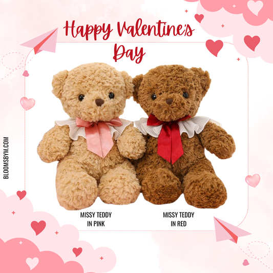 Valentine's Day - Soft Toy Plushie - Missy Teddy